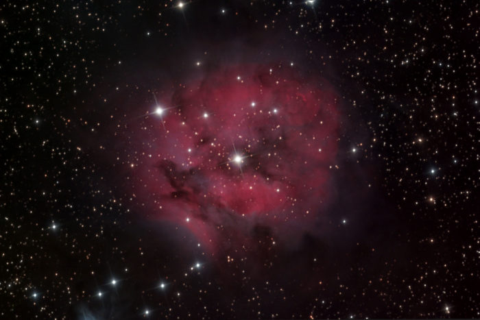 Iamge of the Cocoon nebula taken from my backyard observatory