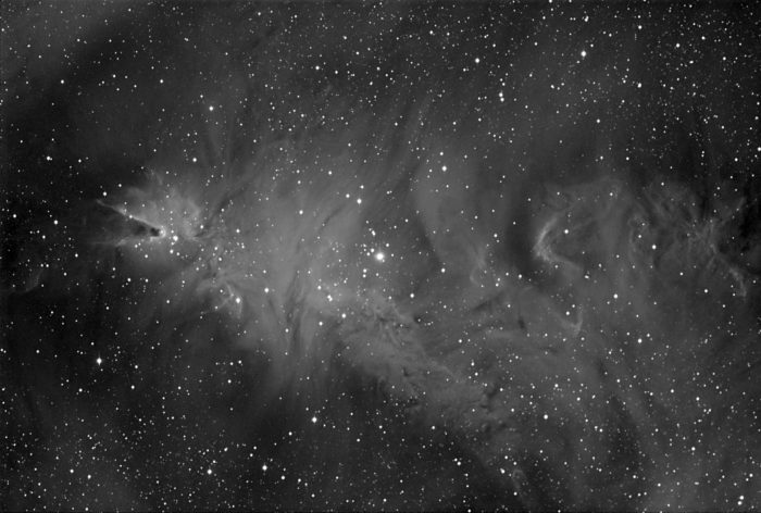 Fox Fur Nebula