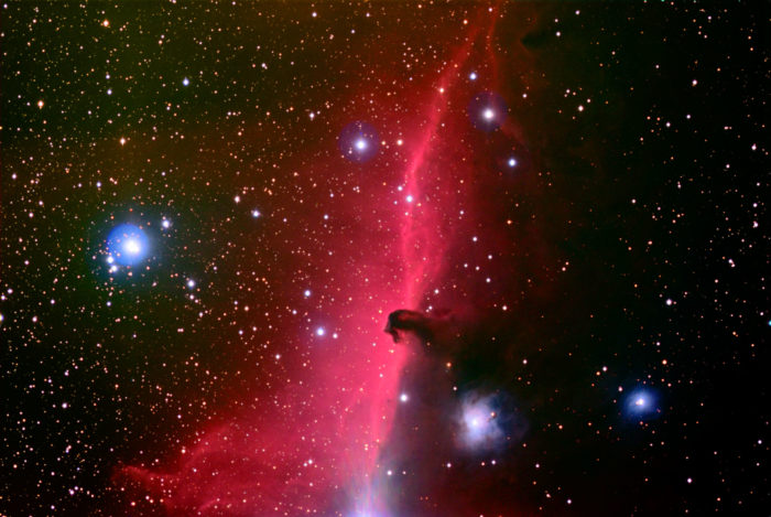 Horsehead