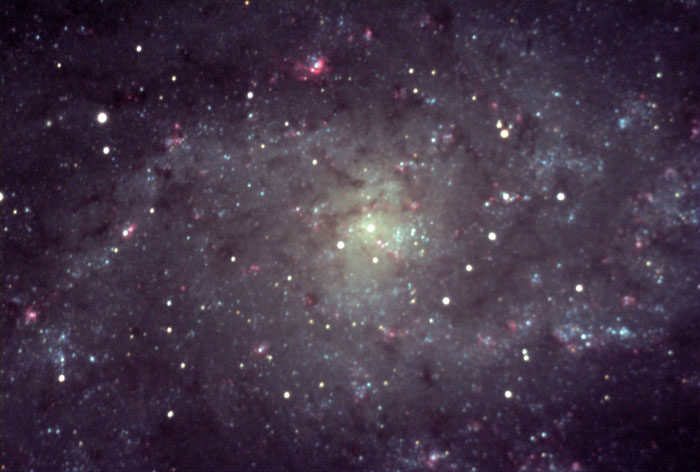 M33