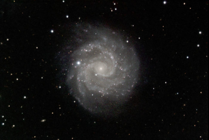 NGC3184