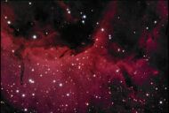 Pelican nebula Pelican nebula